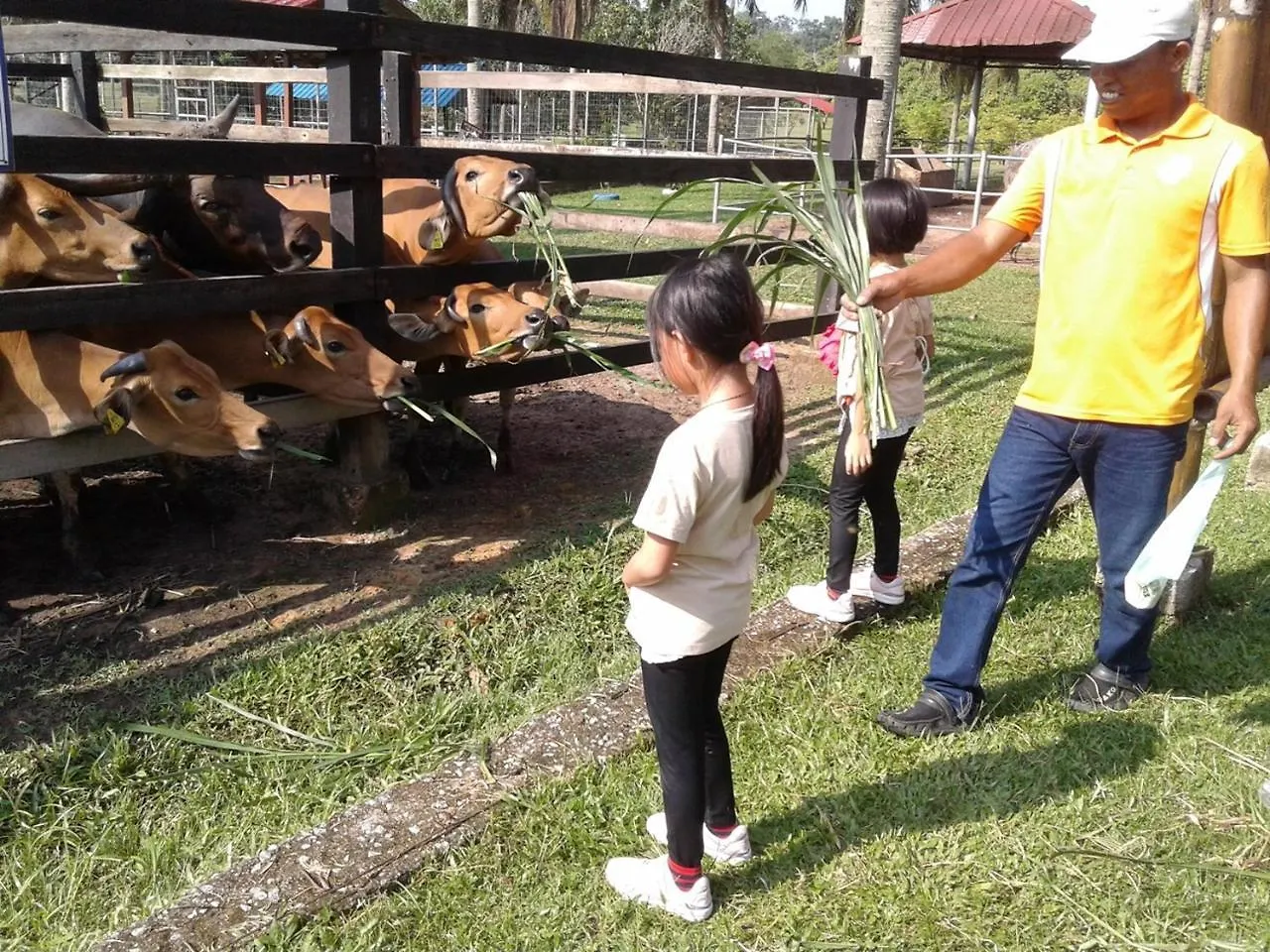 Mtff Farm Stay Malacca 0*,